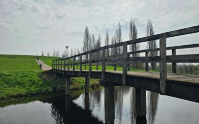 Renoveren bruggen molenvlietpark